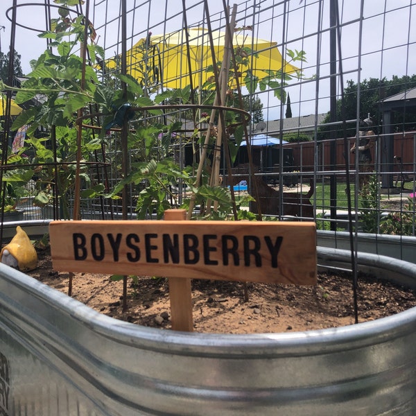 BOYSENBERRY Garden Sign, Berry Marker, Fruit Sign, Outdoor Signage ...