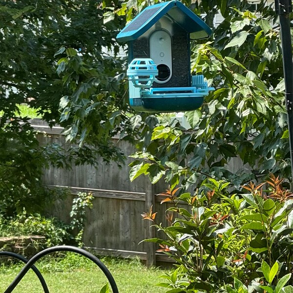 Ultimate Bird Buddy Accessory Package medium Blue - Etsy