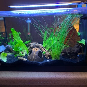 Christina added a photo of their purchase