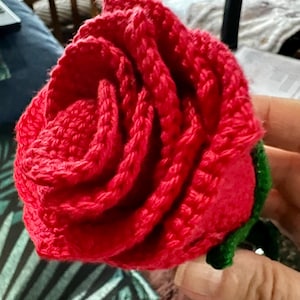Annie added a photo of their purchase