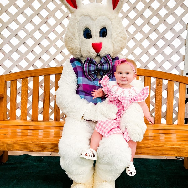 Easter Bunny Smocked Purple Striped Dress