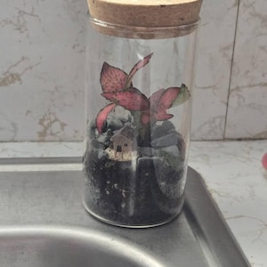 Jacqui ha aggiunto una foto del proprio acquisto