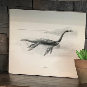 Comprador Etsy adicionaram uma foto da sua compra
