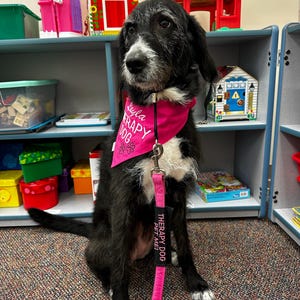barnum added a photo of their purchase