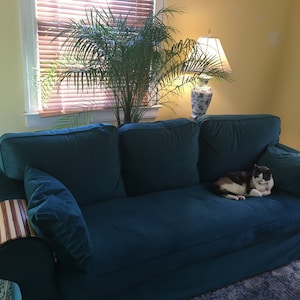 Jeannie added a photo of their purchase