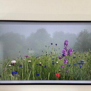 Laird added a photo of their purchase