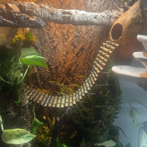 Kute added a photo of their purchase