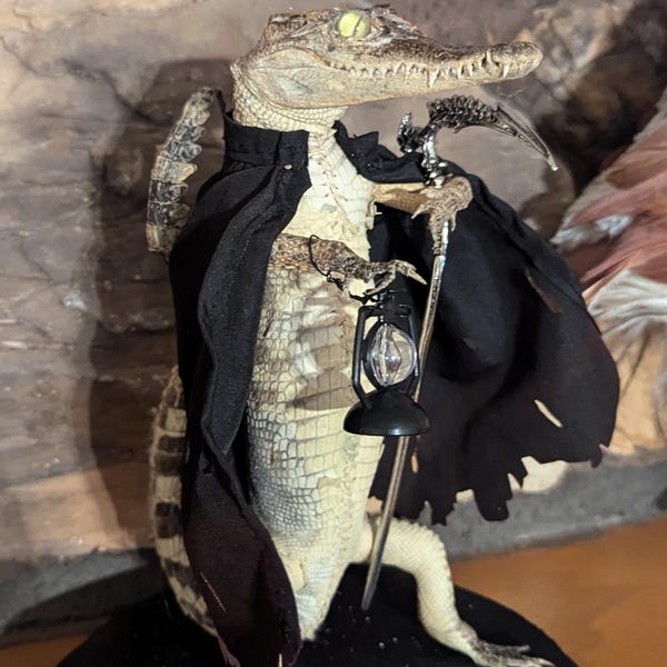 Rabbit Bunny Clown Mummified Skeleton Specimen Wet Dried Preserved ...