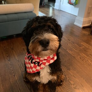 Penny added a photo of their purchase
