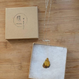Joe added a photo of their purchase