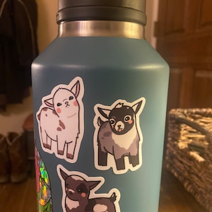 Erica added a photo of their purchase