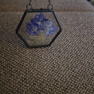 Vicky added a photo of their purchase