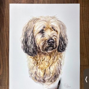 Buzz added a photo of their purchase