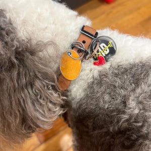 Cuquitosob さんが購入した商品の写真を追加しました