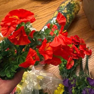 Jennifer added a photo of their purchase