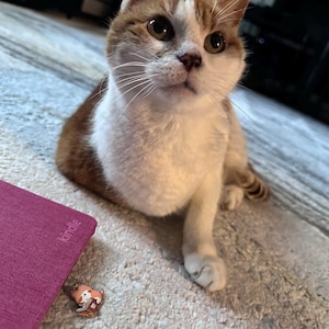 Etsy buyer added a photo of their purchase