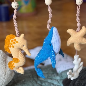 Colette added a photo of their purchase