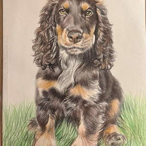 Lucy added a photo of their purchase