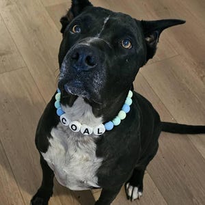 kelly heeft een foto van zijn/haar aankoop toegevoegd