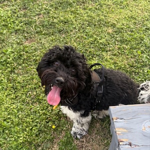 Aubreanna ha añadido una foto de su compra