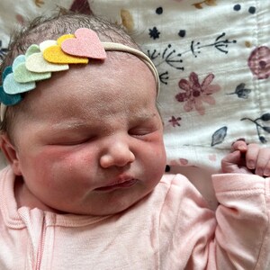 Magnolia Baby Girls Cuddle and Quack Ducks Flutters Bloomers Set