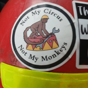 Benjamin added a photo of their purchase