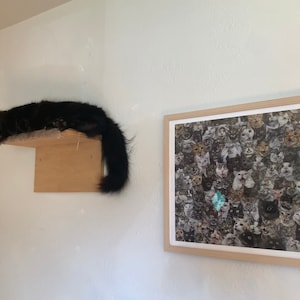 Yarelis added a photo of their purchase