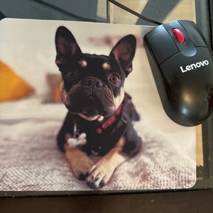Shinta adicionaram uma foto da sua compra