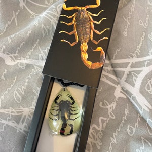 Cody added a photo of their purchase