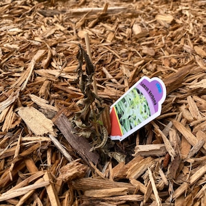 Karen ha añadido una foto de su compra