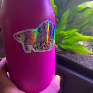 Aya ha añadido una foto de su compra
