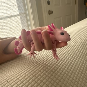 Hannah added a photo of their purchase