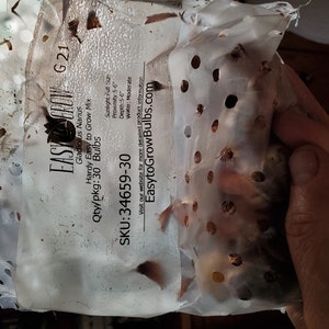 Margie ha añadido una foto de su compra