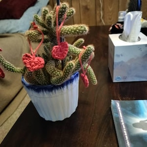 Patricia ha añadido una foto de su compra