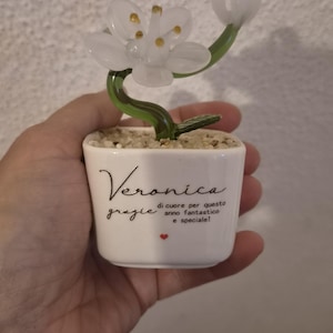 Aida added a photo of their purchase