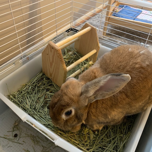Image showcasing Guinea Pig Hay Feeder, Hay Rack Wooden, Made by Asaswood - Etsy