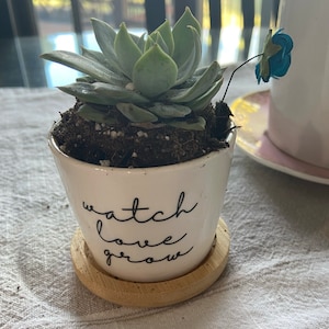 MIMI ha añadido una foto de su compra
