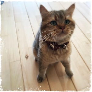 Troepmail heeft een foto van de aankoop toegevoegd