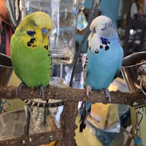 Mary added a photo of their purchase
