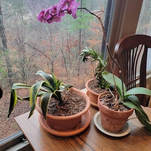 Tval added a photo of their purchase