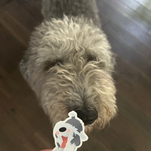 megan ha aggiunto una foto del proprio acquisto