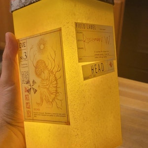 Case File Template Pack 50 Assets Canva Editable Aged - Etsy