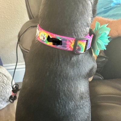 collar with bow tie dogs