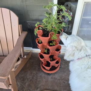 Angela added a photo of their purchase