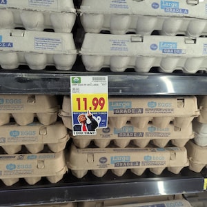 Michael ha añadido una foto de su compra