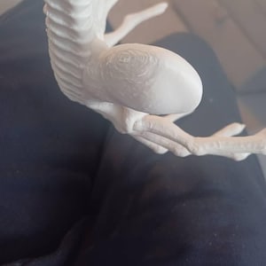 Etsy-koper heeft een foto van de aankoop toegevoegd