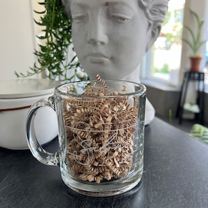 Tracy added a photo of their purchase