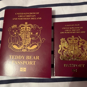 Teddy Bear Passport USA personalised Inc Photo - Etsy