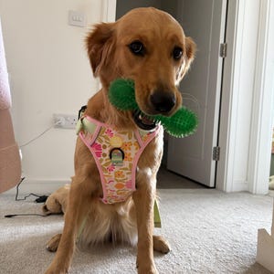 Cara added a photo of their purchase