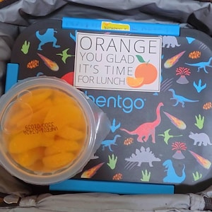 Alexandria added a photo of their purchase